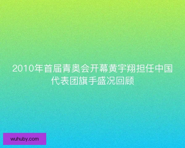 2010年首届青奥会开幕黄宇翔担任中国代表团旗手盛况回顾