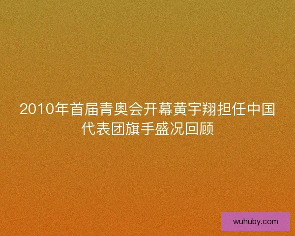 2010年首届青奥会开幕黄宇翔担任中国代表团旗手盛况回顾